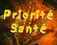 Vers Priorit� Sant�