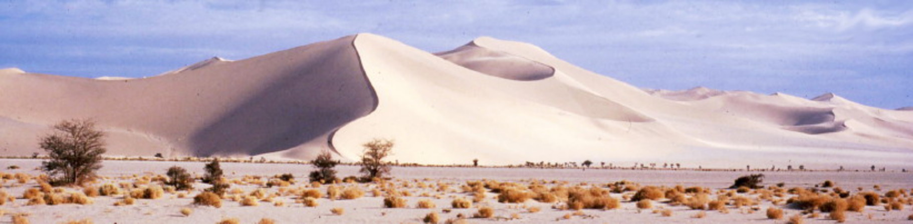 dunes de sable au Sahara