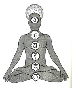 Chakras vue de face