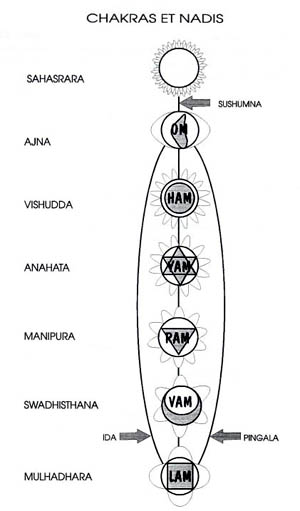 Les chakras