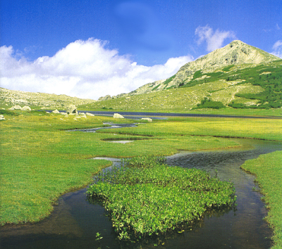 paysage en Corse