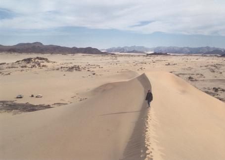 Dune de sable blanc