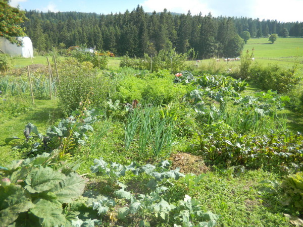 Le jardin potager.