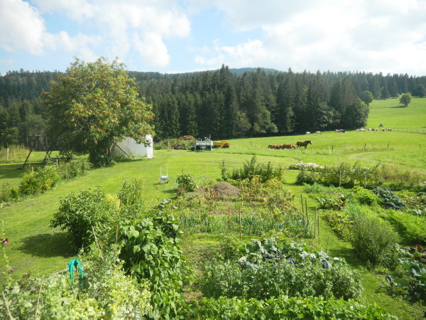Vue sur la fott depuis la maison