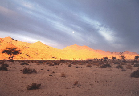 Lever de soleil sur la Tefedest