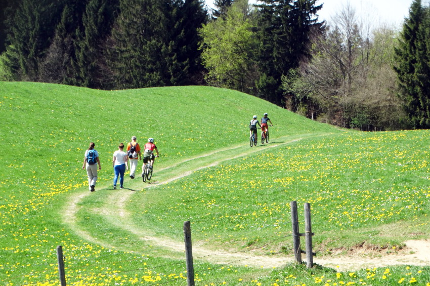 VTT en groupe