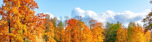 automne